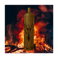 Feuertonne Phönix 2