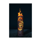 Feuertonne Drache 1