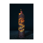 Feuertonne Drache 2