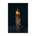 Feuertonne "Raptor"